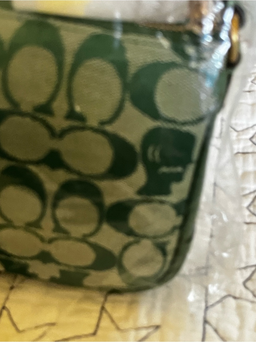 Coach X Braindead Green Plaza Bag. - Picture 16 of 16